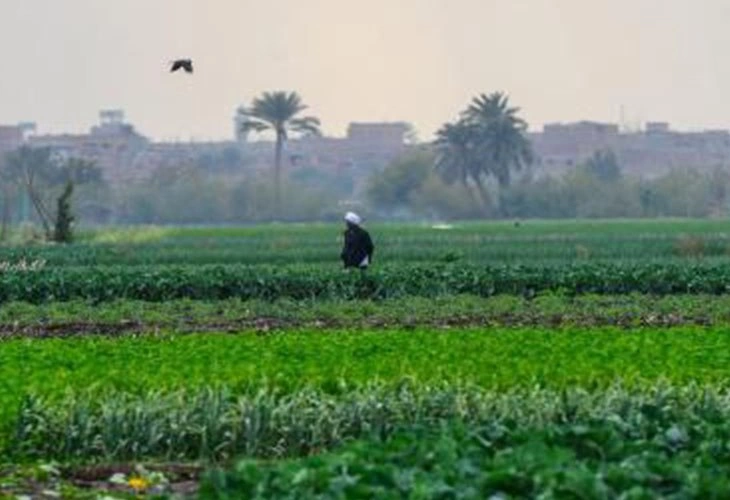 إسرائيل تروّج تكنولوجيتها لمصر والأردن بمؤتمر المناخ